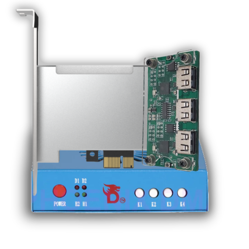 DMA Starter Bundle